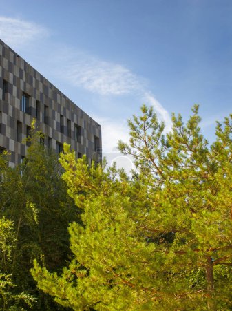 Foto de Arquitectura moderna con planta verde en primer plano y cielo azul - Imagen libre de derechos