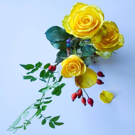 Foto de Composición de flores con rosas amarillas y rosa de perro - vista superior - Imagen libre de derechos