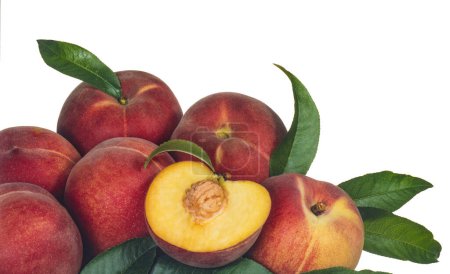 Photo for Tanto va la heap of peaches, with one cut in half on a white background - Royalty Free Image