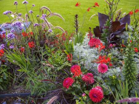 Foto de Detalle de jardín de flores con fondo de césped verde - Imagen libre de derechos