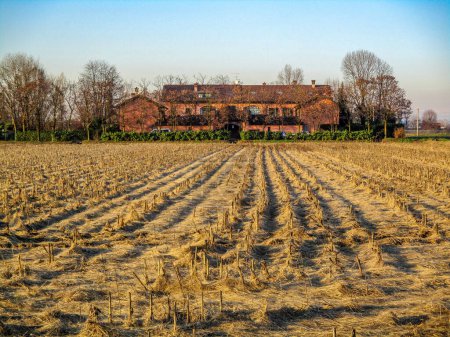 Foto de Campo de rastrojos con casa de campo en el campo de Lombardía, Italia - Imagen libre de derechos