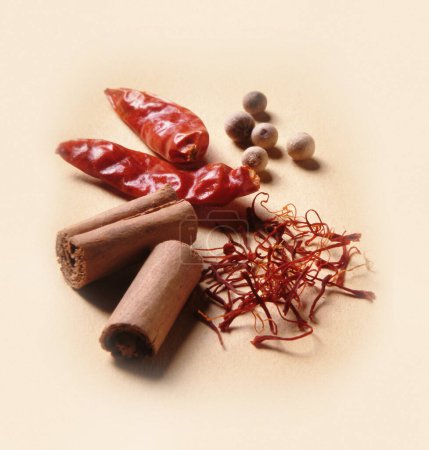 Foto de Las especias mezcladas - el chile, la canela, el pimiento, el azafrán - Imagen libre de derechos