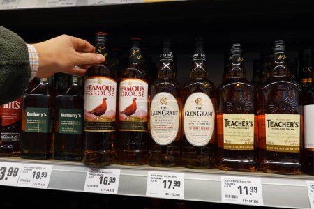 Photo for GERMANY - JANUARY 2024: Scotch Whiskies in a supermarket. Shopper buys The Famous Grouse brand blended Scotch Wisky in a REWE supermarket. - Royalty Free Image