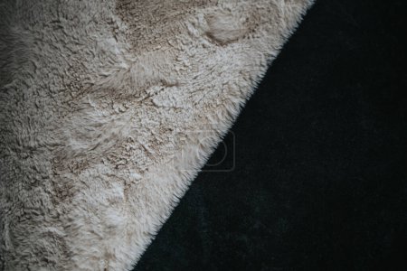 Nahaufnahme, die die kontrastierenden Strukturen von weichem, flauschigem beigen Fell gegen ein glattes, dunkelschwarzes Textil zeigt.