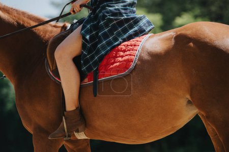Close-up of a person riding a horse with a red saddle blanket, set in a sunny outdoor environment. Focus on legs and horse body.