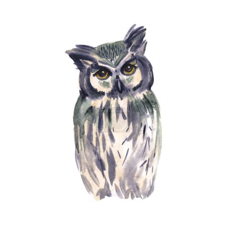 Photo for Watercolor owl isolated on white background. Cute long eared owl staring with yellow eyes. Watercolor wise bird. Hand painted art illustration. - Royalty Free Image