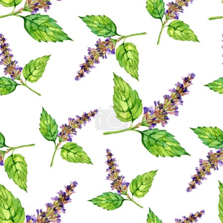 Photo for Watercolor patchouli pattern. Pharmacy floral background. - Royalty Free Image