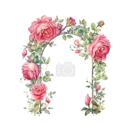 Arco con flores de jardín de rosas aisladas sobre fondo blanco. Estilo jardín inglés. Ilustración en acuarela. Plantilla.