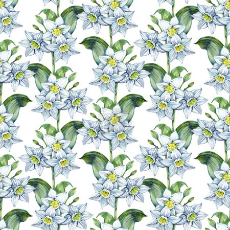 Photo for Daffodil Eucharis blossom seamless pattern. Hand drawn narcissus flowers. Soft floral for natural or romantic design, fabric, wrapping, paper dishes prints - Royalty Free Image
