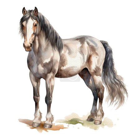 Photo for Sepia watercolor dapple grey horse. Beautiful hand drawing illustration on white. - Royalty Free Image