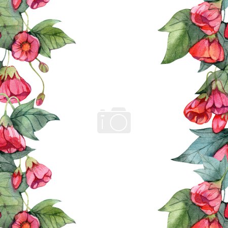 Téléchargez les photos : Aquarelle cadre abutilon fleurs isolées sur un fond blanc, illustration dessinée à la main de la plante d'intérieur dans un style vintage. - en image libre de droit