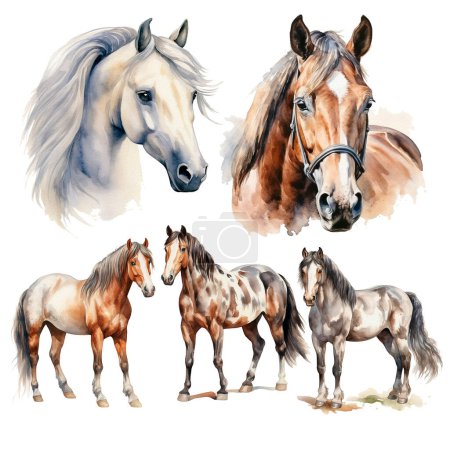 Téléchargez les photos : Ensemble de croquis pour chevaux aquarelle. Jolie illustration. Animaux de ferme - en image libre de droit