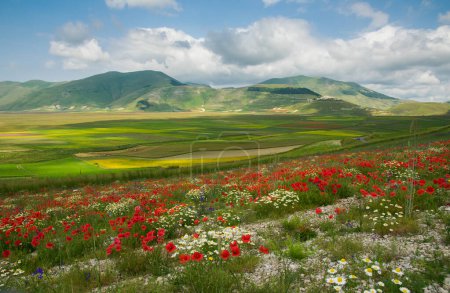 Vue panoramique du village de montagne Castelluccio di Norcia pendant la célèbre floraison en Ombrie, Italie