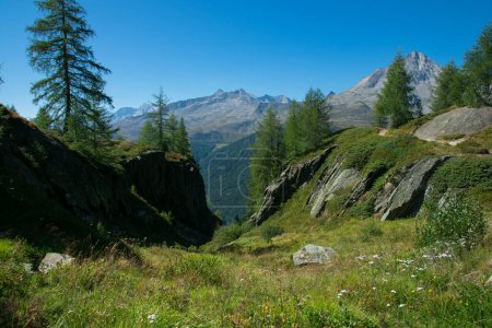 Typical alpine landscape in Valle Aurina, Alto Adige, Italy