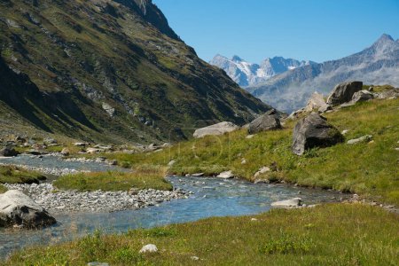Vue d'un petit ruisseau alpin dans les Alpes de l'Alto Adige, Italie
