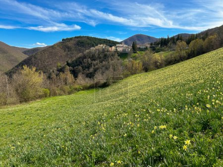 Foto de Vista panorámica de Poggiodomo en Umbría con el hermoso florecimiento de Narcisus durante la temporada de primavera, Italia - Imagen libre de derechos