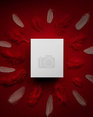 Téléchargez les photos : Boîte blanche sur un fond rouge se trouve au-dessus des plumes rouges décoratives - en image libre de droit