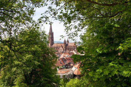 Photo for View over Freiburg Minster from slope of Schlossberg Hill. View through the leaves of the trees - Royalty Free Image