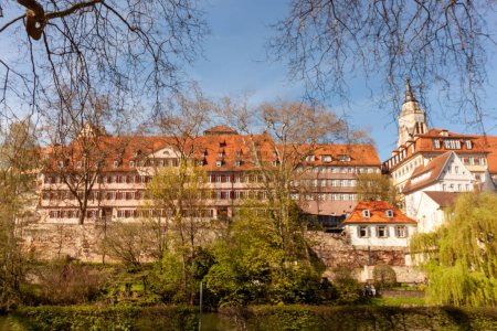 The buildings of the old town of Tuebingen through the spring trees in early April. View from an island on the Neckar river