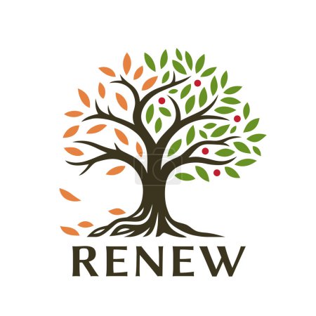 Illustration for Renew tree emblem design. Seasons nature logo. Seasonal plant phases icon. Spiritual growth tree of life conceptual symbol. Vector illustration. - Royalty Free Image