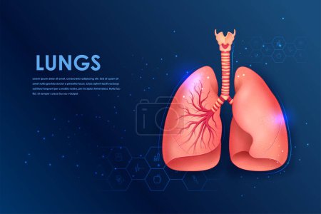 Illustration for Illustration of Healthcare and Medical education drawing chart of Human Lungs for Science Biology study - Royalty Free Image