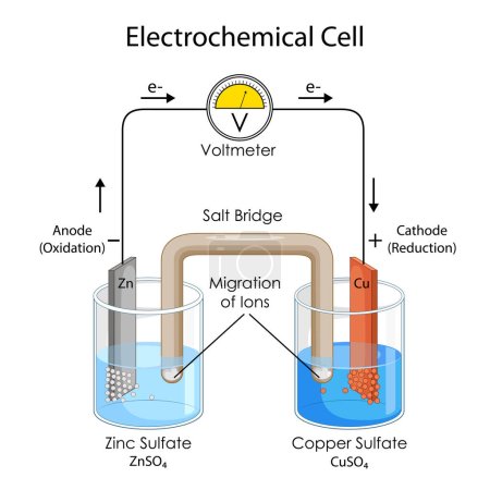 Illustration des Diagramms, das das physikalische Konzept der elektrochemischen Zelle zeigt
