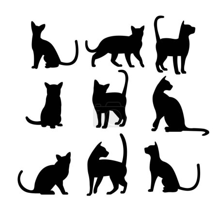 Photo for Silhouette of a cat on a white background - Royalty Free Image