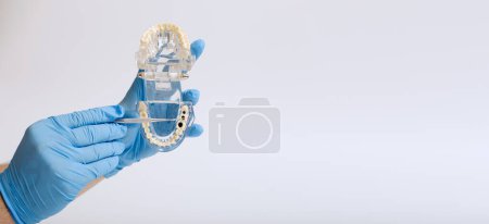 Dental technician holding a dental jaw model on a white background.