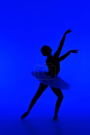 Photo for Beautiful silhouette of ballerina on blue background dancing ballet. Woman performs smooth movements. Sensual dancer in tutu dress on scene under neon light.. . High quality photo - Royalty Free Image