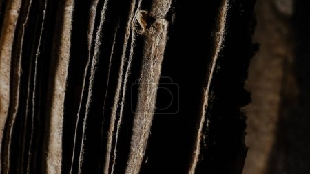 Photo for Macro view of ancient papyrus, archival manuscripts. Medieval library tomes. Background of book with ancient writings, mystical secrets of past, mysteries of history. High quality - Royalty Free Image
