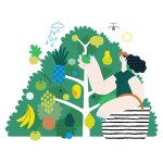 Greenery, ecology -modern flat vector concept illustration of a woman gathering fruit from the 40 fruit tree. Metaphor of environmental sustainability and protection, closeness to nature