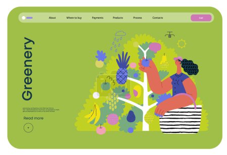 Ilustración de Verde, ecología moderna concepto de vector plano ilustración de una mujer recogiendo fruta de los 40 árboles frutales. Metáfora de la sostenibilidad y protección del medio ambiente, cercanía a la naturaleza - Imagen libre de derechos