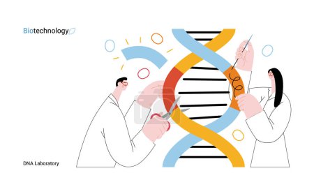 Illustration for Bio Technology, DNA Laboratory -modern vector concept illustration of scientists dissecting DNA double helix, manipulating and rearranging fragments. Metaphor of advancements in agriculture, medicine - Royalty Free Image