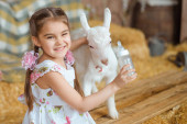 girl dressed in cotton summer dress with her hair styled in two braids tied with pink ribbons, is feeding a white baby goat from bottle and laughing happily. She is located inside rural barn with hay Poster #651934164