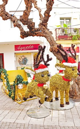 Photo for Christmas decoration in Cubelles, Tarragona, Catalonia, Spain, Europe - Royalty Free Image