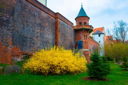 Téléchargez les photos : Jour du printemps dans le parc ombragé Bezruchovy. Olomouc, République tchèque. - en image libre de droit