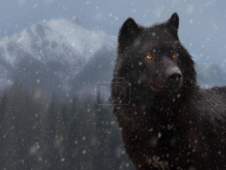 Foto de Lobo negro canadiense en invierno en fuertes nevadas - Imagen libre de derechos