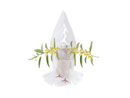 Photo for White dove with palm flowering olive branch isolated on white background - Royalty Free Image