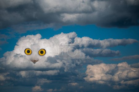Photo for Concept image of an animal on a blue sky cloud - Royalty Free Image