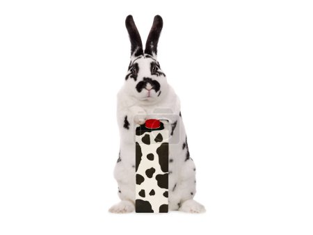 Dalmatinisches Kaninchen steht mit einer Papiertüte Milch auf weißem Hintergrund