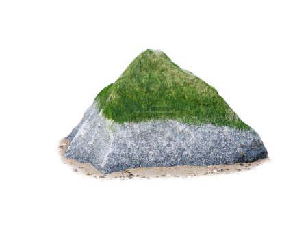 pierre de mer avec algues isolées sur fond blanc