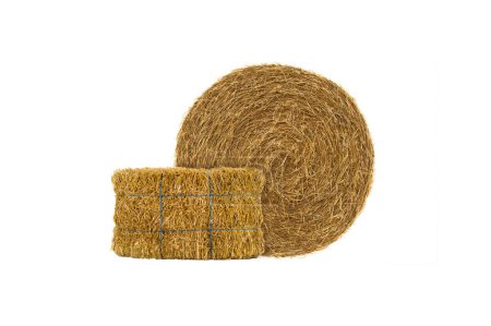 round and rectangular hay bale isolated on white background