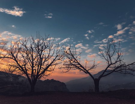 Téléchargez les photos : Beautiful Landscape of a Two Trees without Leaves over Sunset Sky Background. Mountainous Village. Amazing Beauty of Nature. - en image libre de droit