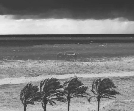 Téléchargez les photos : Photo noir et blanc d'une journée venteuse sur la plage. Photo de style vintage d'un temps orageux dans la mer. Belle vue d'été. - en image libre de droit