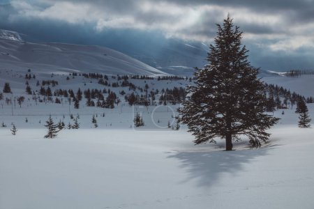 Téléchargez les photos : Amazing View on a Beautiful Winter Mountains. Gorgeous Peaceful Landscape of a Ski Resort. Lebanon. - en image libre de droit