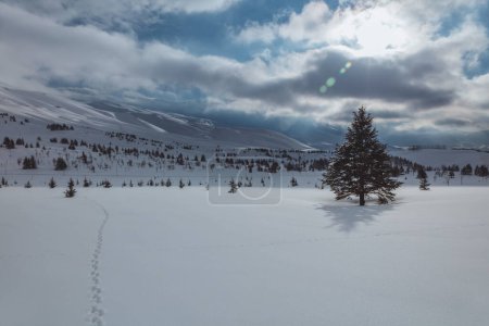 Foto de Amazing View on Beautiful Winter Mountains. Cold Weather Peaceful Landscape of a Ski Resort. Lebanon. - Imagen libre de derechos