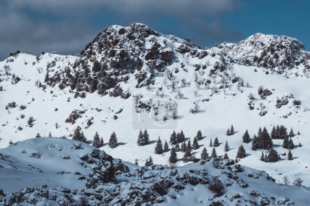 Téléchargez les photos : Beau paysage paisible de hautes montagnes recouvert de neige par une journée ensoleillée. Le froid hivernal. Liban. - en image libre de droit