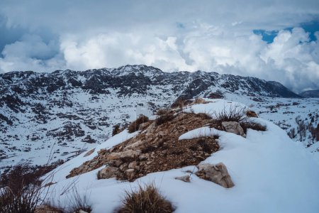 Téléchargez les photos : Superbe vue d'hiver. Hautes montagnes libanaises couvertes de neige blanche claire par une journée ensoleillée givrée. - en image libre de droit