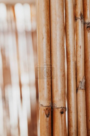 Téléchargez les photos : Fond en bois naturel. Design fabriqué à partir de matériaux naturels en herbe de bambou, connu dans le monde entier pour sa praticité et sa durabilité. - en image libre de droit
