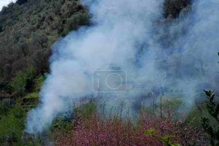 Mountain fire in Campania,South Italy,March 27,2024.
